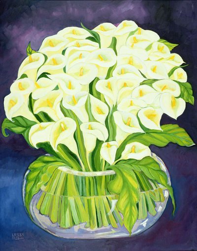 Calla-Lilien von Laila Shawa